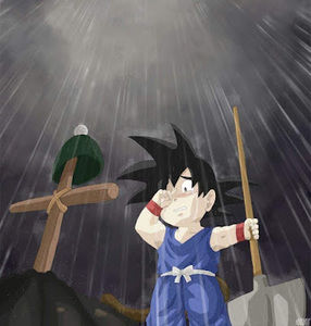 Meet your Posher, Diego